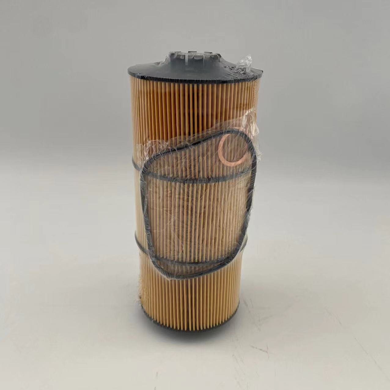 Filtro de óleo A4711800209/P582506/WL10663/LF17810 para Freightliner