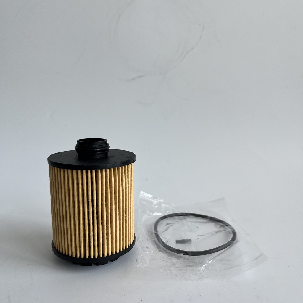 HU7043Z 1612565980 Filtro de óleo para Petgeot